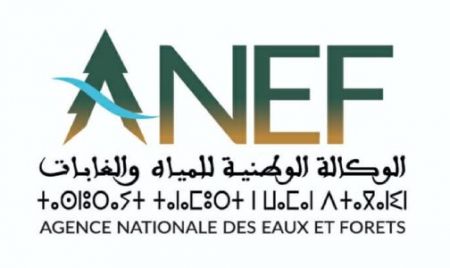 ANEF – Agence nationale des eaux et forêts du Maroc