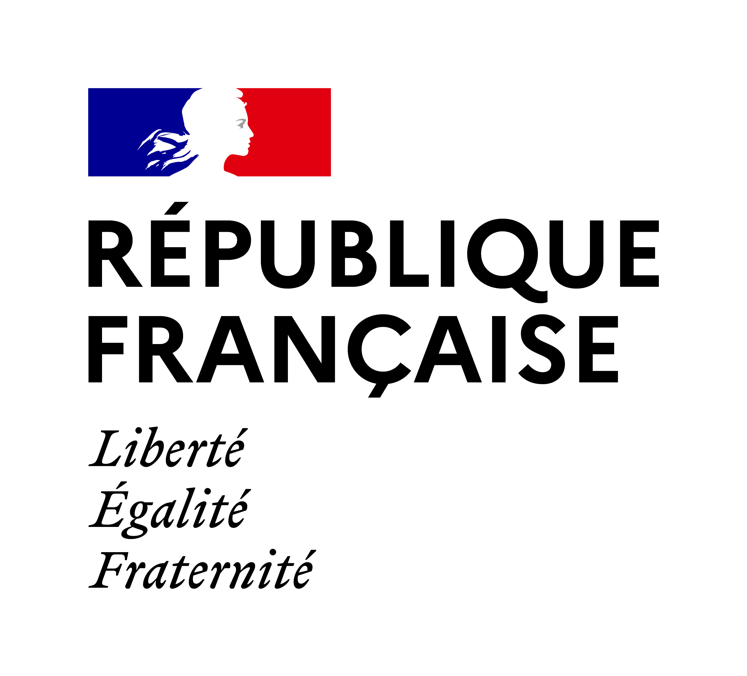 French Ministry for Europe and Foreign Affairs / French Embassy in Algeria