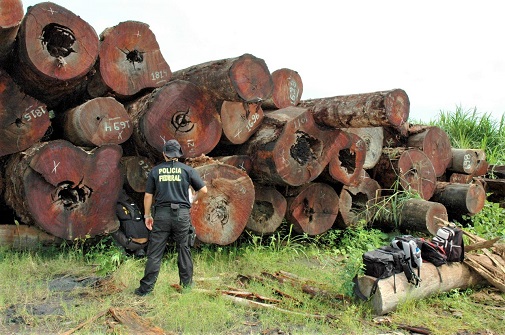 Photo credit: Brazilian Federal Police