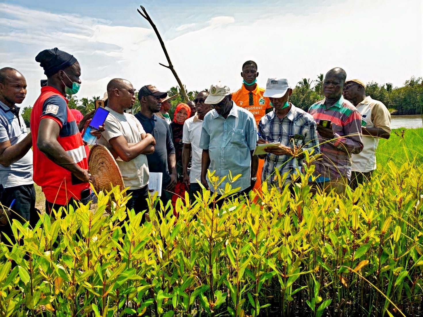 Visit to a tree nursery by students of the Professional Master's degree in Climate Change and Sustainable Development
