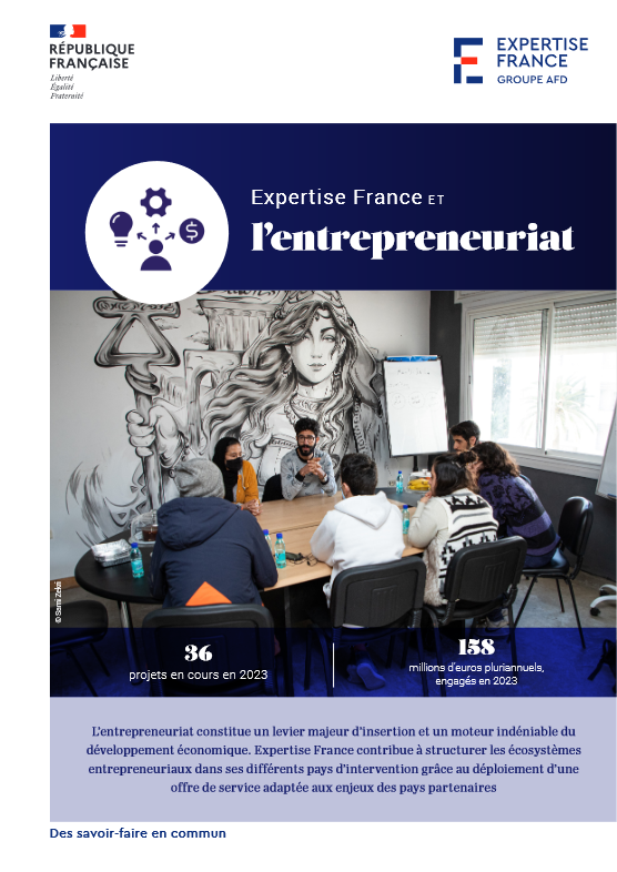 Couverture Expertise France et l'entrepreneuriat