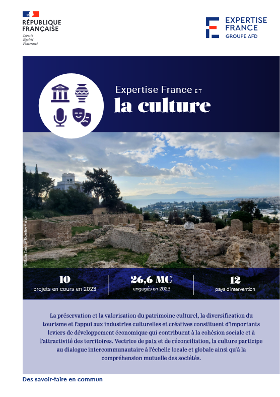 Couverture Expertise France et la culture