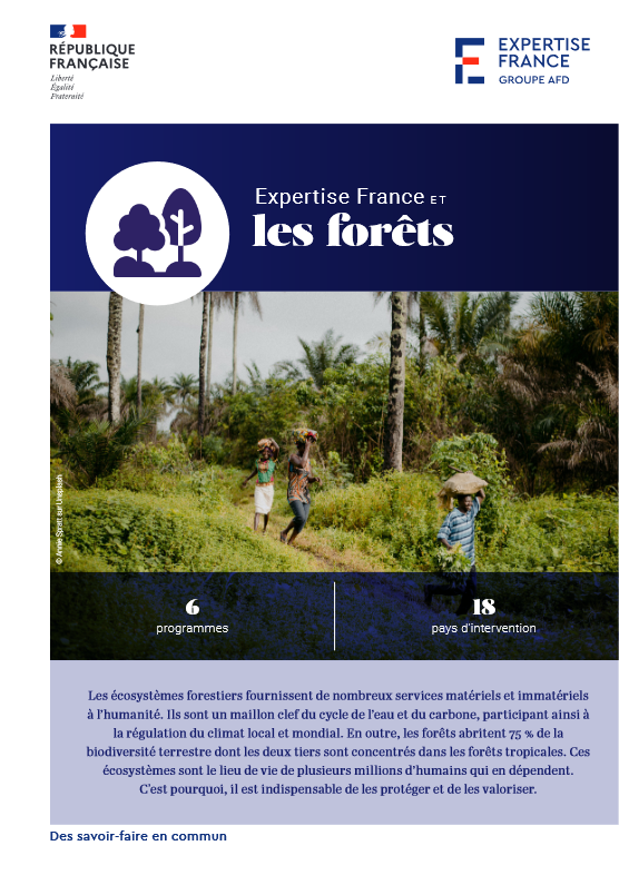 Couverture Expertise France et les forêts