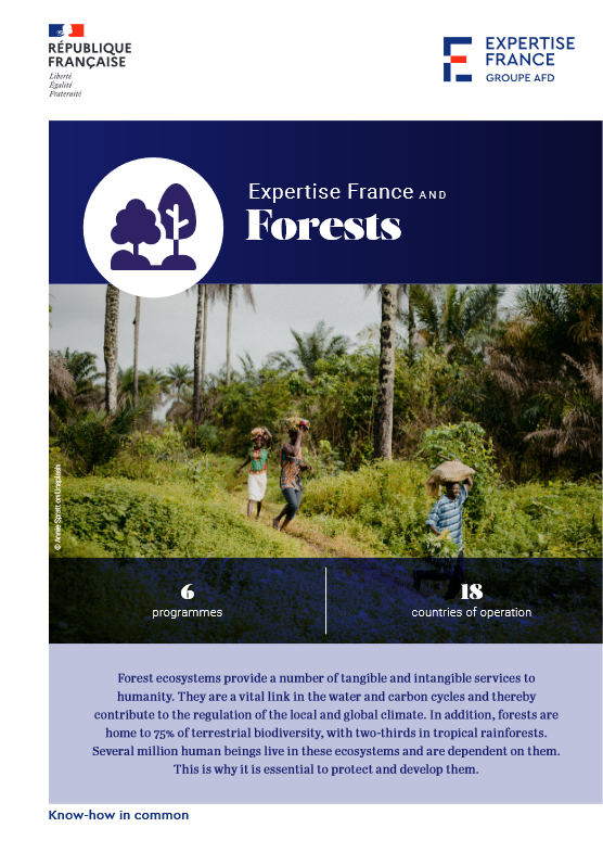 Cover Expertise France and Forests