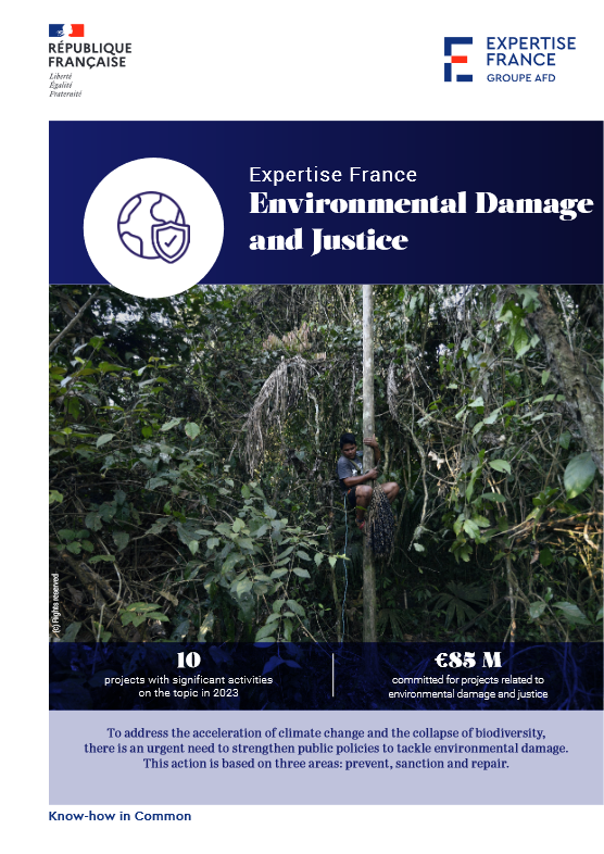 Cover Expertise France - Environmental Damage and Justice
