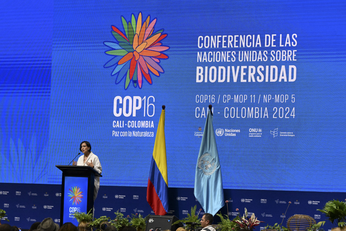 Sommet COP16 Cali