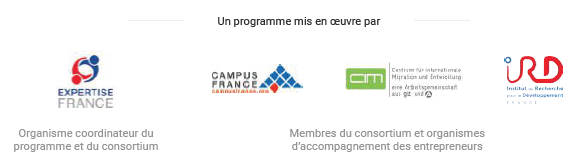 Les partenaires de mise en oeuvre du projet MEETAfrica : Expertise France, Campus France, Giz / CIM, IRD.