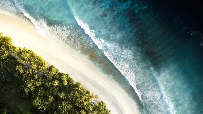 Ile Maurice, océan, plage et biodiversité se rencontrent.