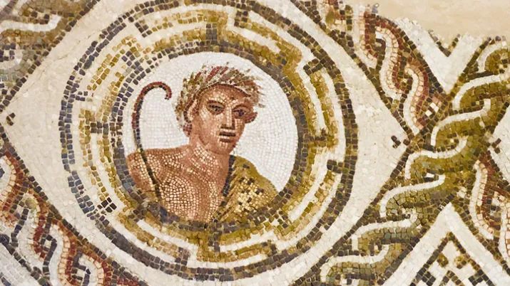 Mosaïque de Carthage | Crédit photo : Radhia Oudjani - Expertise France.