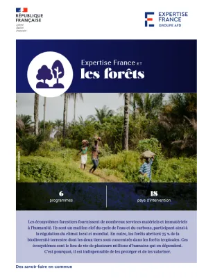 Couverture Expertise France et les forêts