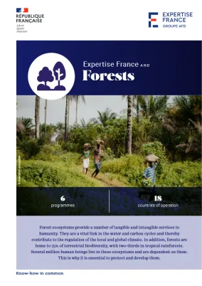 Cover Expertise France and Forests