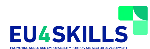 Logo EU4Skills